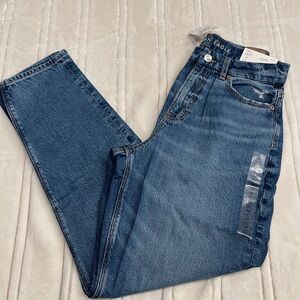 American Eagle Denim curvy mom Jeans